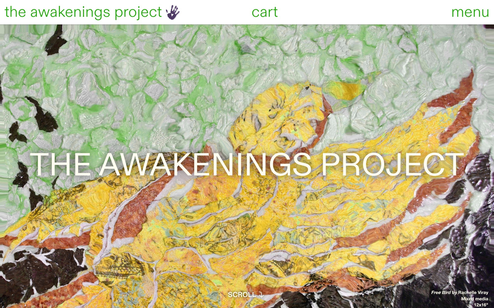 The Awakenings Project